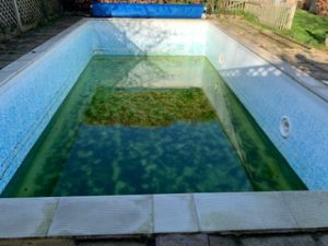 Rockhopper Pools - Swimming Pool Renovation