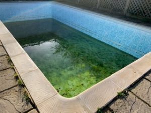 Rockhopper Pools - Swimming Pool Renovation